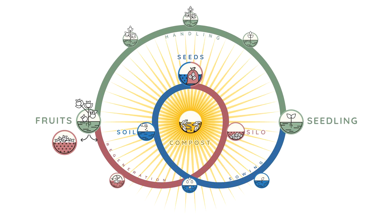 Semente Interloop Logo